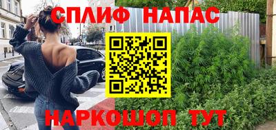 мдпв Долгопрудный