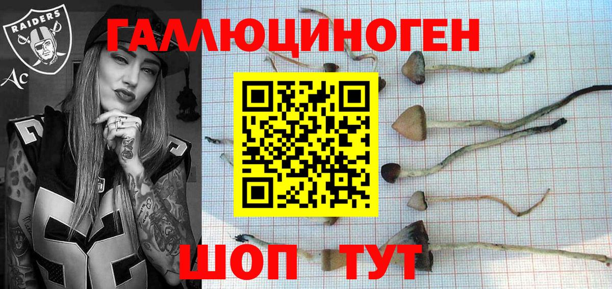 Галлюциногенные грибы мицелий Ачхой-Мартан